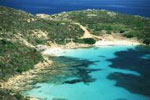 isola dell'asinara